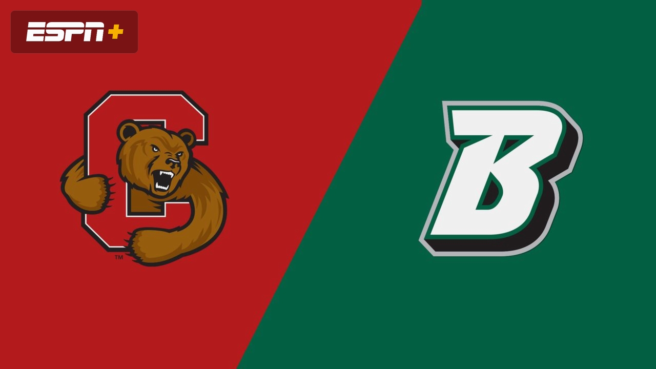 Cornell vs. Binghamton (M Soccer)