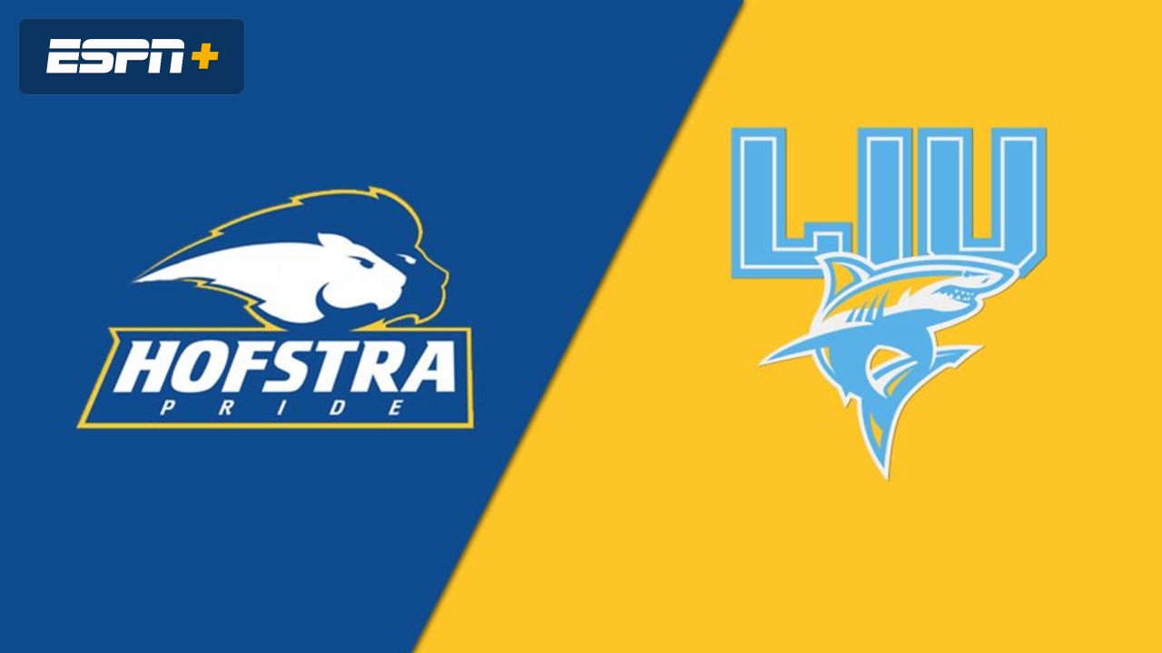 Hofstra vs. Long Island University