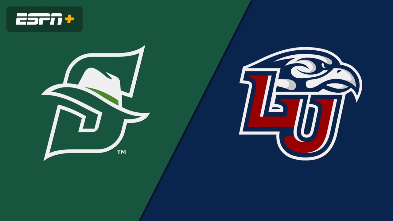 Stetson vs. Liberty (Baseball)