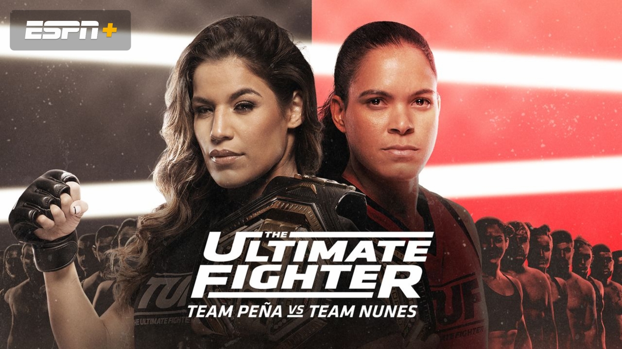 The Ultimate Fighter Road to the Rematch: Launch Party