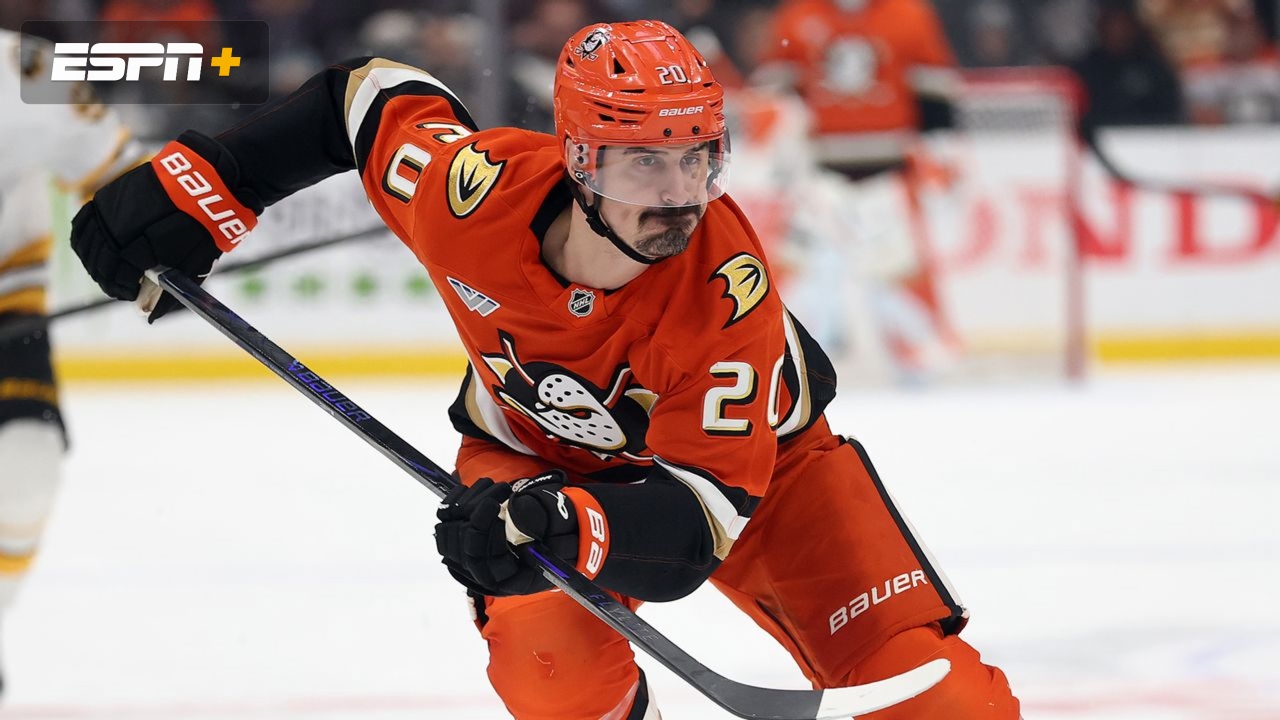 Anaheim Ducks vs. New York Rangers