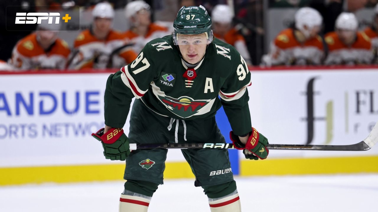 Minnesota Wild vs. St. Louis Blues