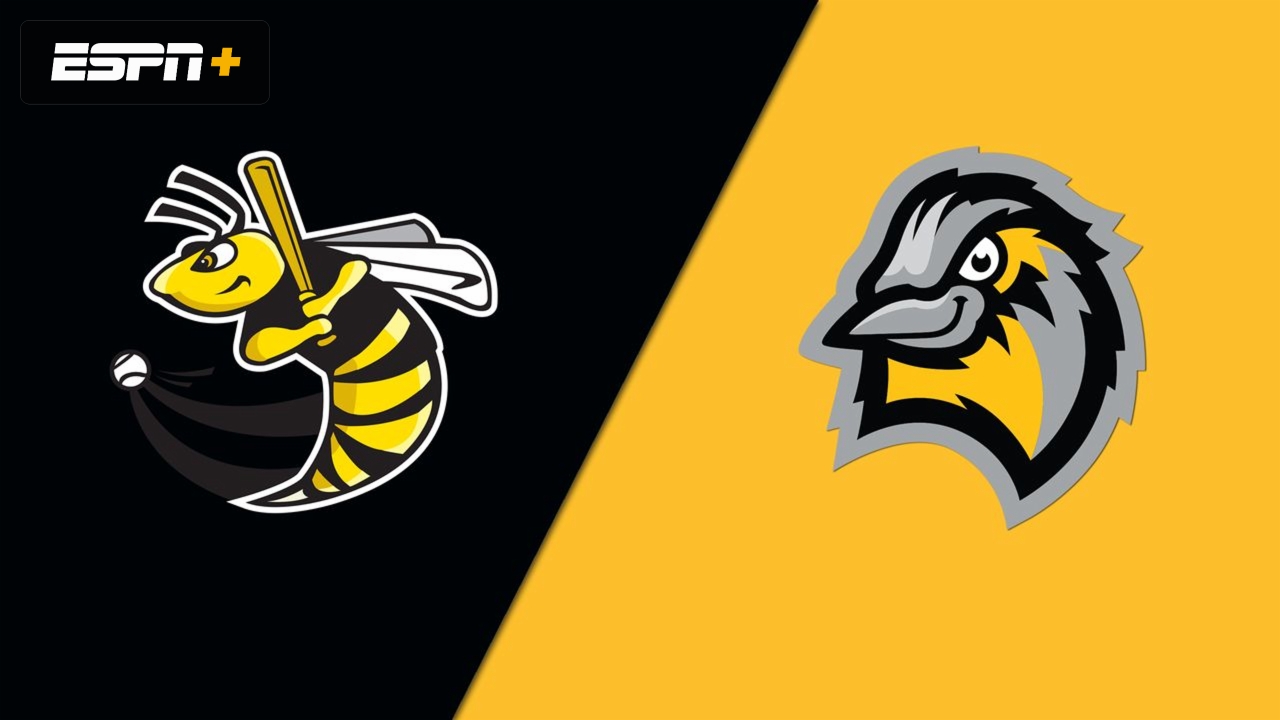 Willmar Stingers vs. Bismarck Larks