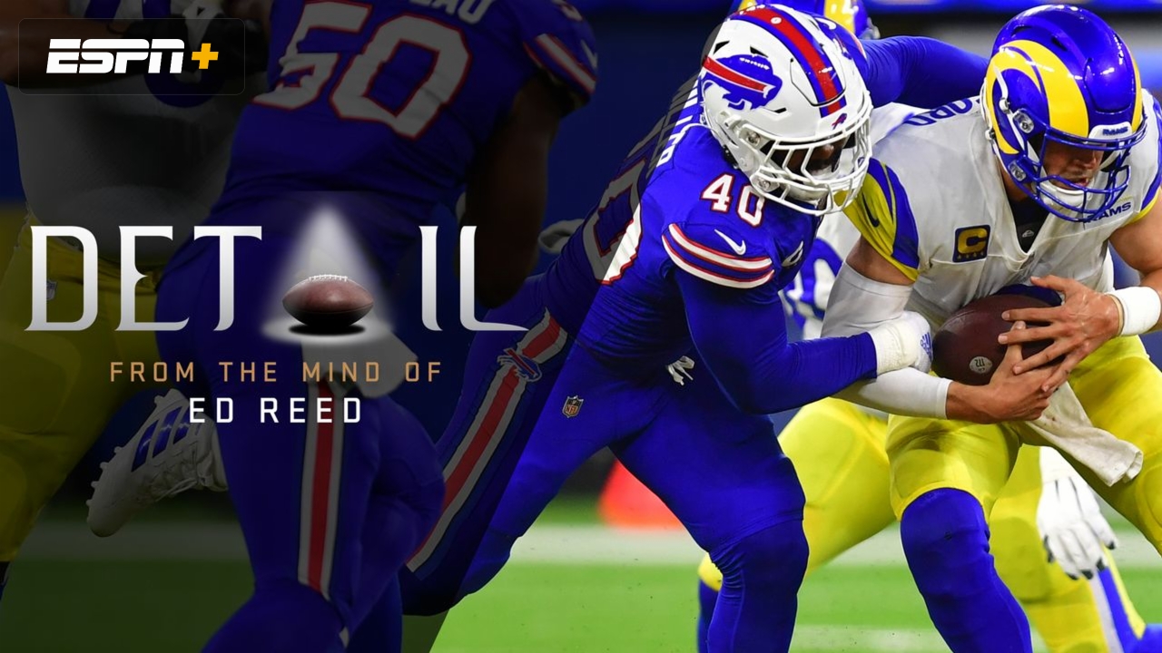 Ed Reed: Breaking Down the Buffalo Bills Defense
