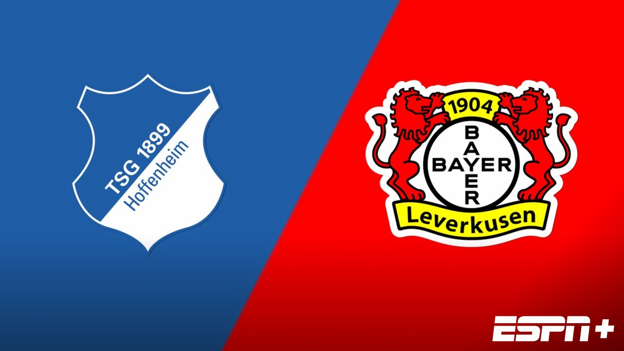 TSG Hoffenheim vs. Bayer 04 Leverkusen (Bundesliga)