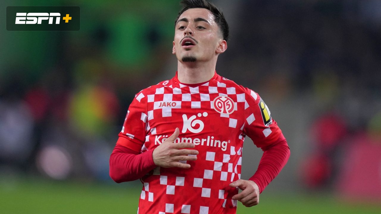 TSG Hoffenheim vs. 1. FSV Mainz 05 (Bundesliga)