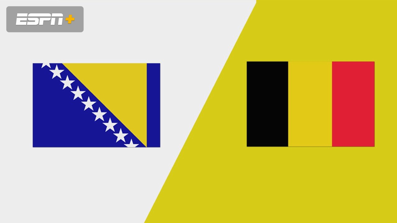 Bosnia-Herzegovina vs. Belgium (Group Phase)