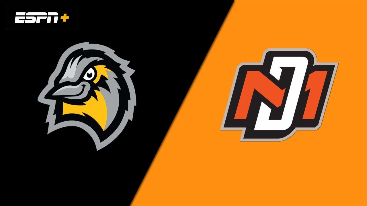 Bismarck Larks vs. Mankato MoonDogs