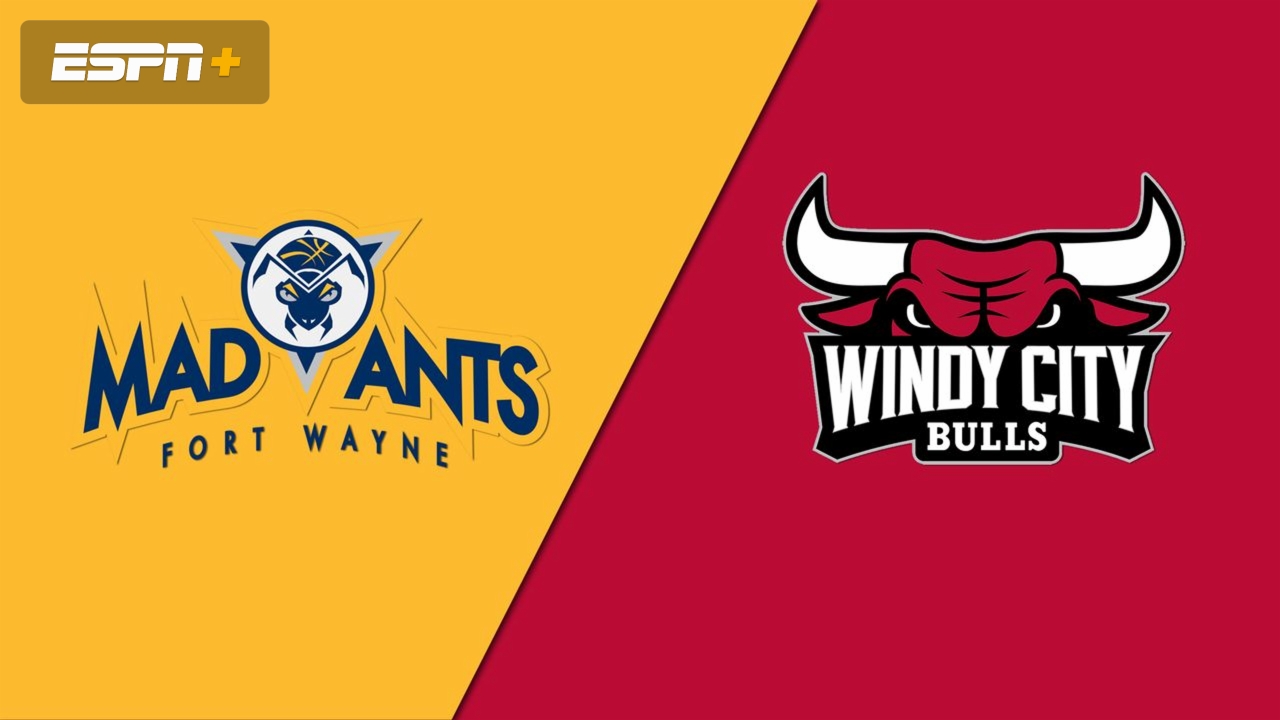 Fort Wayne Mad Ants vs. Windy City Bulls