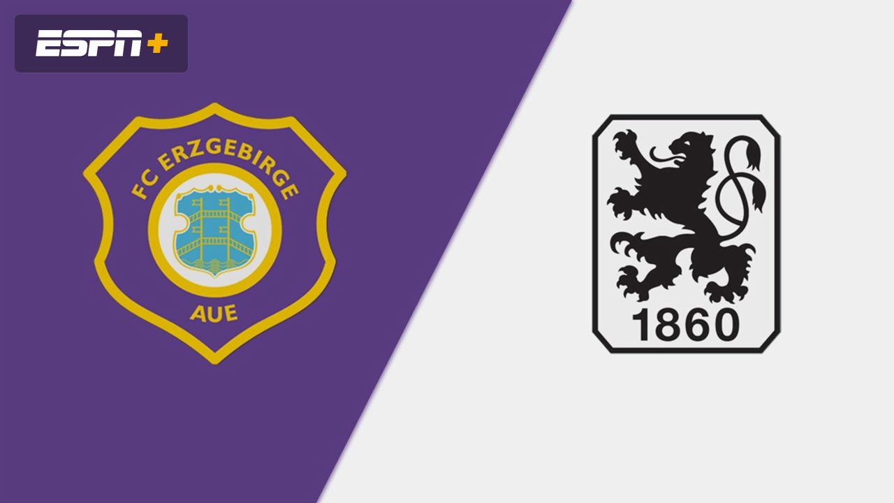 FC Erzgebirge Aue vs. TSV 1860 Munich