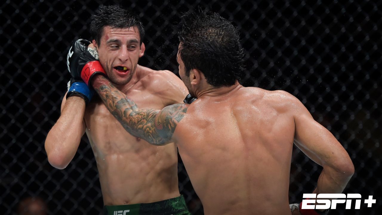 UFC 301: Pantoja vs. Erceg (Main Card)