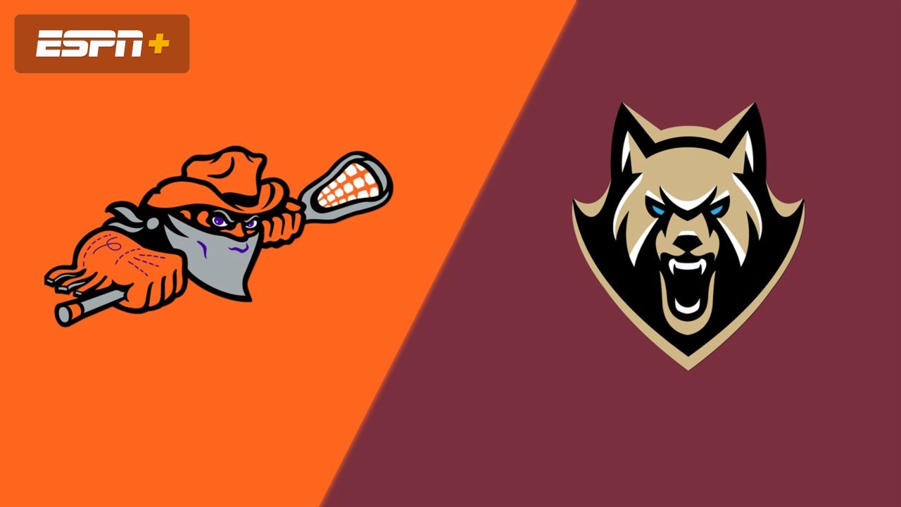 Buffalo Bandits vs. Albany FireWolves (Finals Game 1)