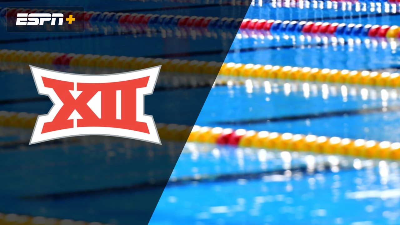 Big 12 Diving Championship (Day 2)
