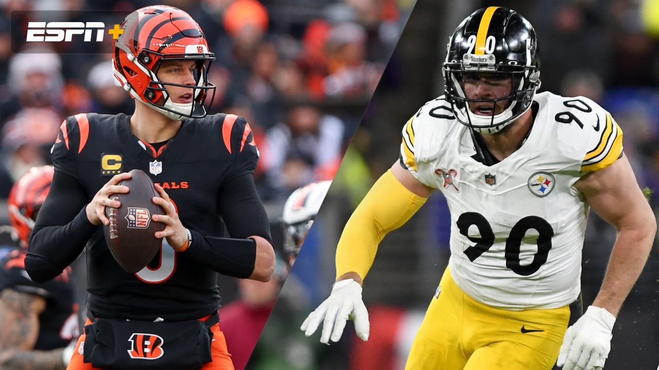 Cincinnati Bengals vs. Pittsburgh Steelers