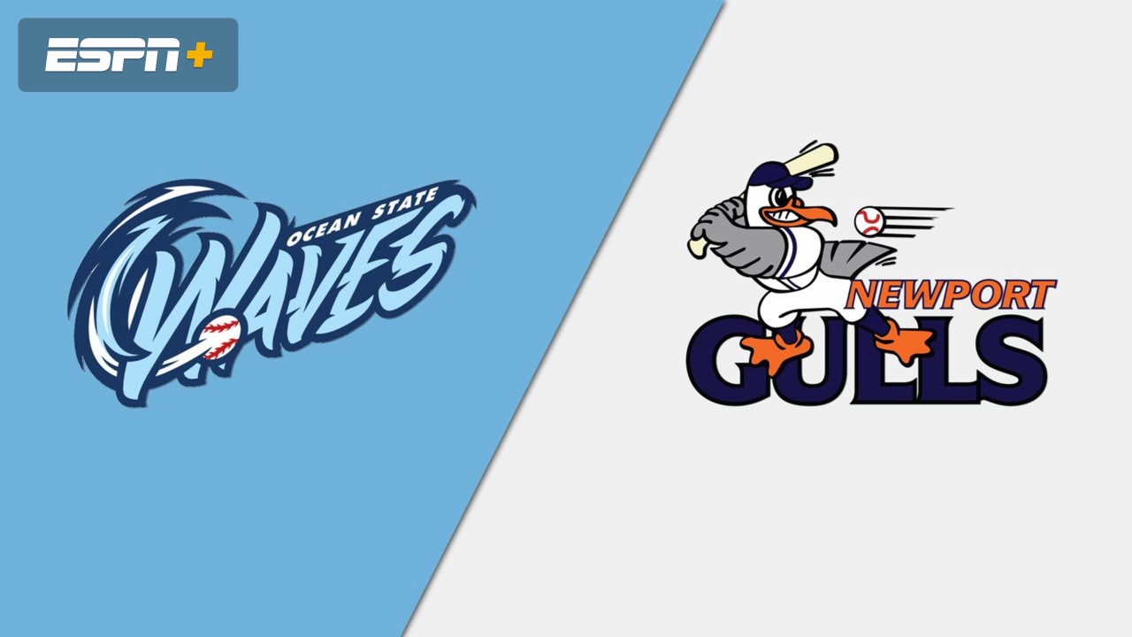 Ocean State Waves vs. Newport Gulls