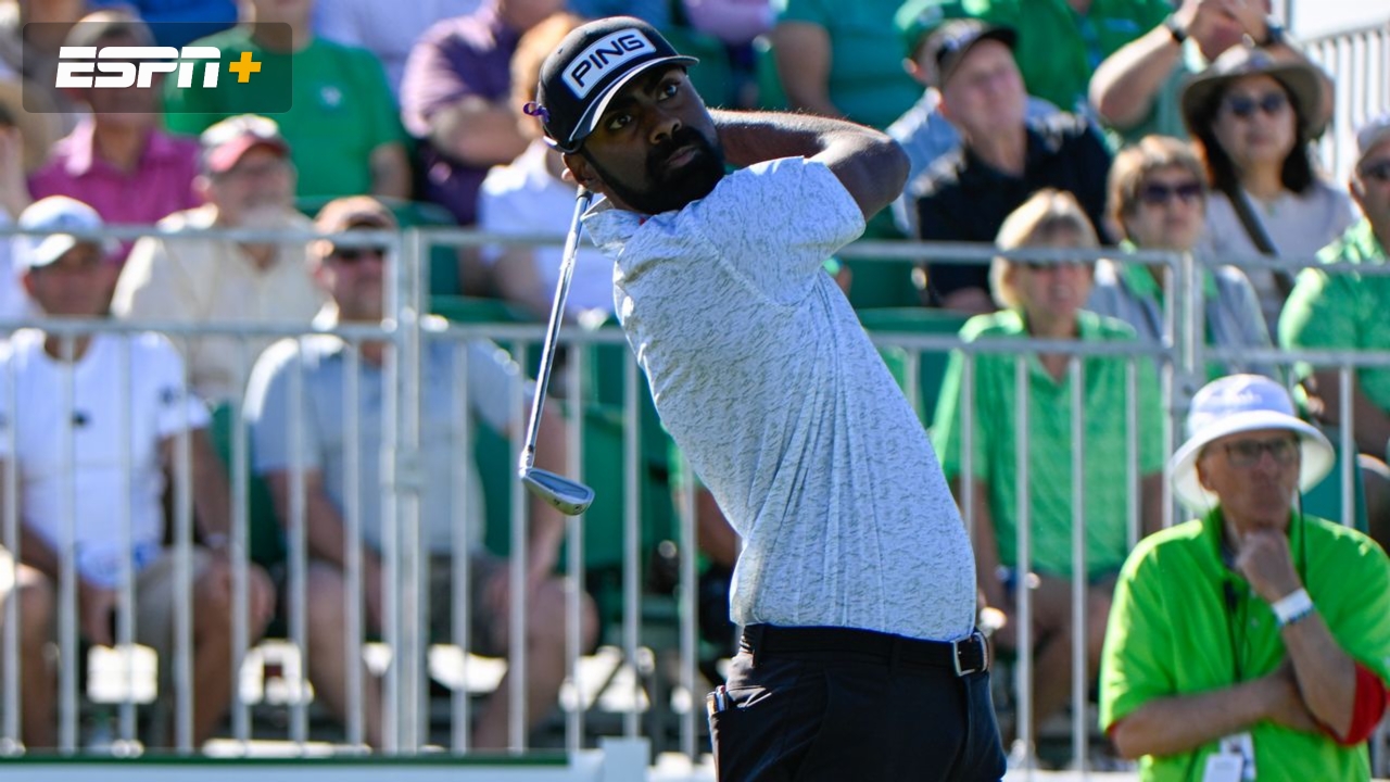 Theegala Featured Group