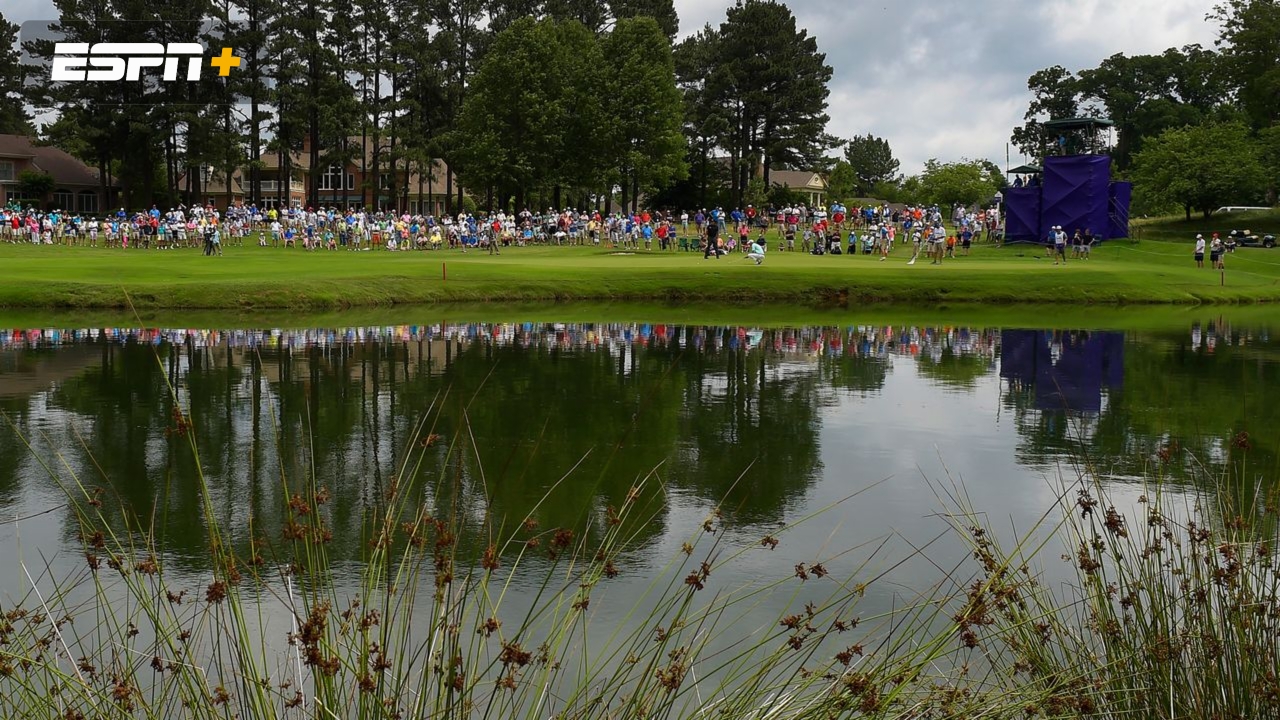 FedEx St. Jude Championship: Featured Hole #14 (Final Round)