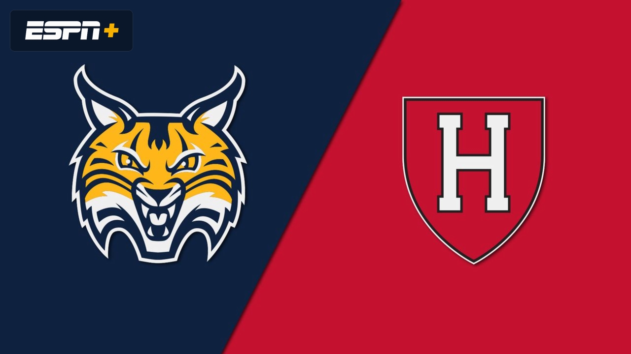 Quinnipiac vs. Harvard (Rugby)