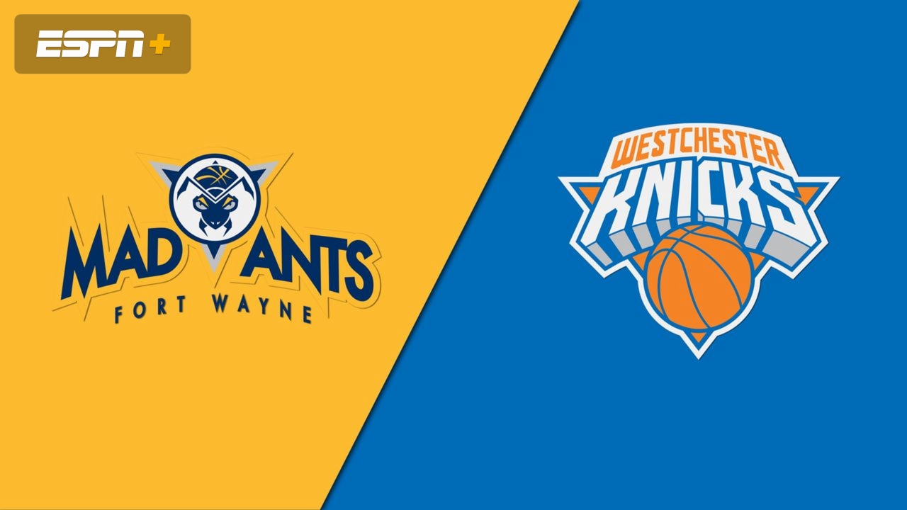Fort Wayne Mad Ants vs. Westchester Knicks