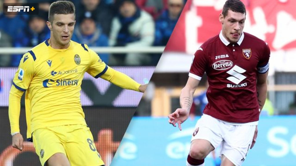 Hellas Verona vs. Torino (Serie A)