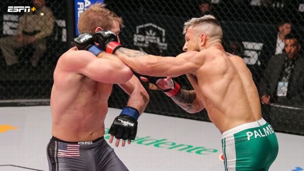 PFL Playoffs: Featherweight and Lightweight