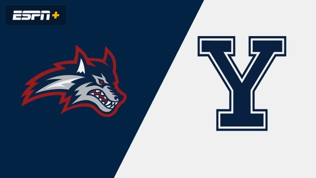 Stony Brook vs. Yale (W Volleyball)