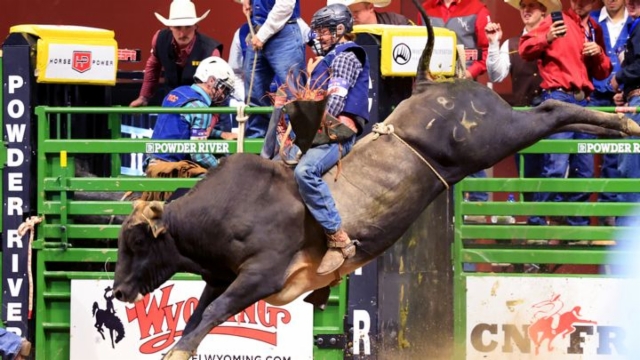 Rodeo: 2026 College National Finals