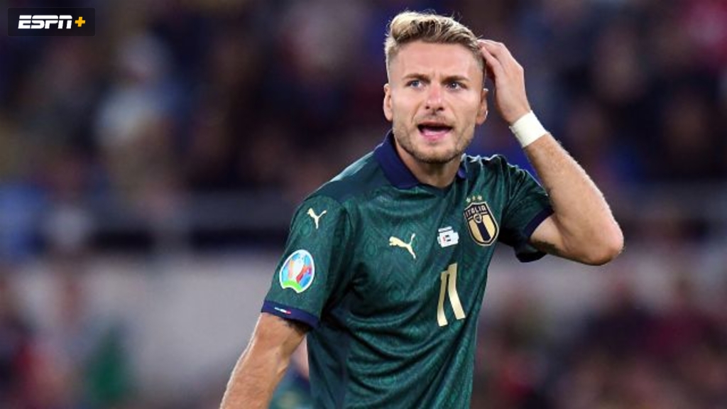Liechtenstein vs. Italy (UEFA European Qualifiers)