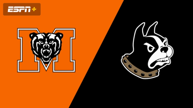 Mercer vs. Wofford