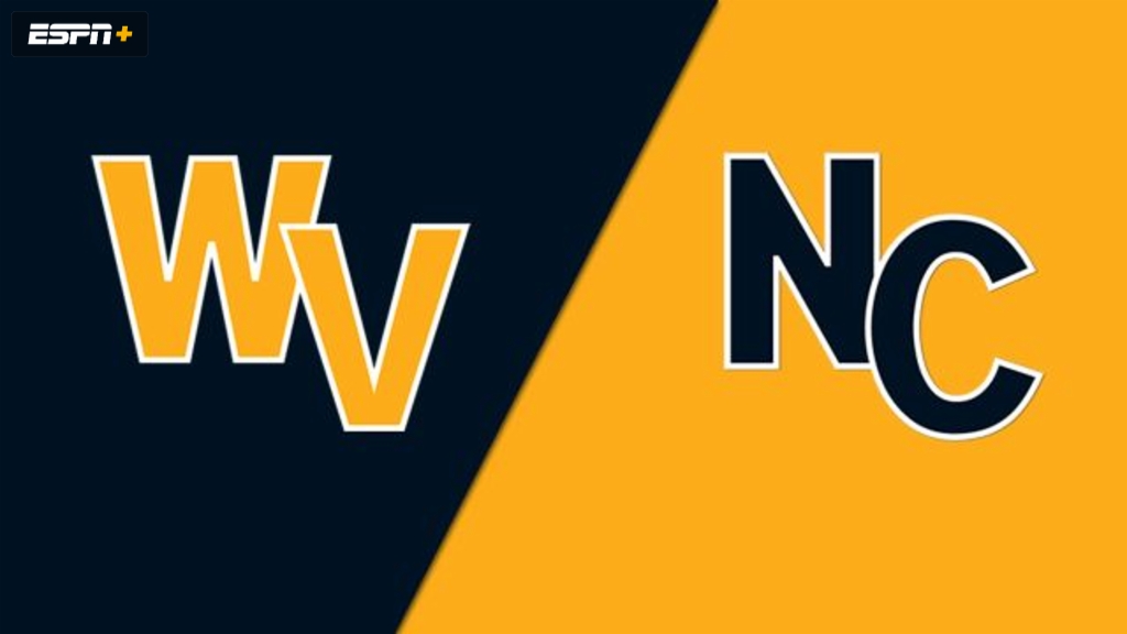 Barboursville, WV vs. Salisbury NC (Southeast Regional) (Little League Softball World Series)
