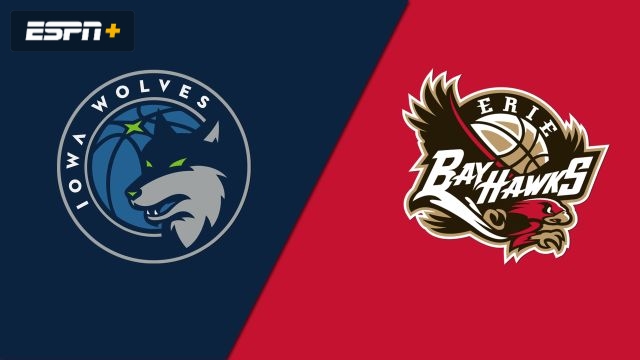 Iowa Wolves vs. Erie BayHawks