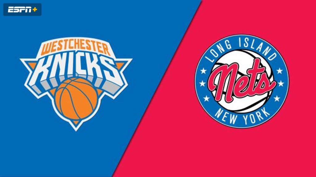 Westchester Knicks vs. Long Island Nets