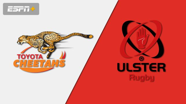 Cheetahs vs. Ulster