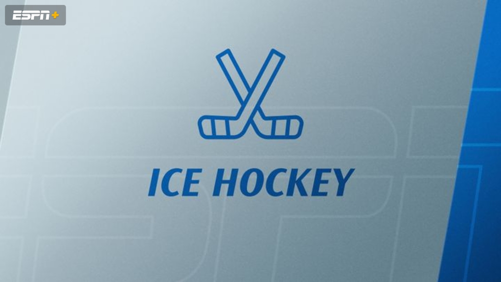 Brock University vs. #11 Quinnipiac (M Hockey)