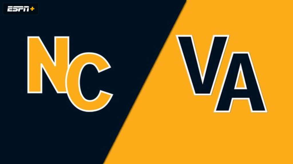 Greenville, NC vs. South Riding, VA (Southeast Regional) (Little League World Series)