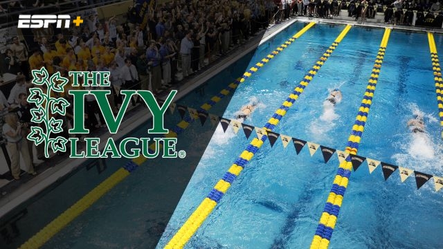 Ivy League Men's Swimming and Diving Championships (Day Three Prelims) (Swimming)