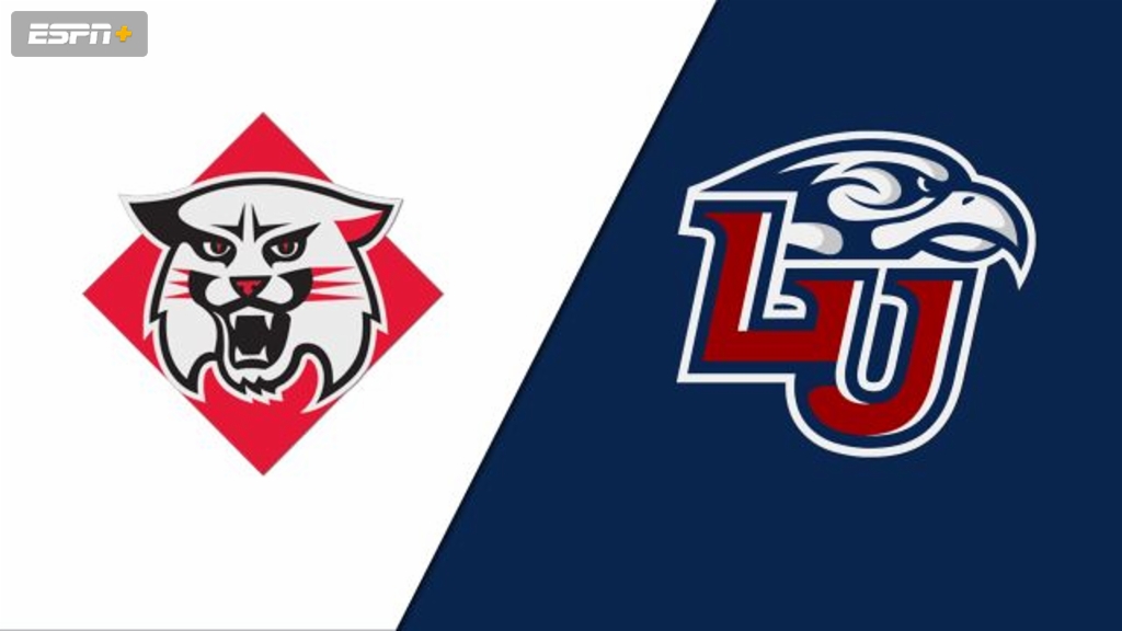 Davidson vs. Liberty (W Volleyball)