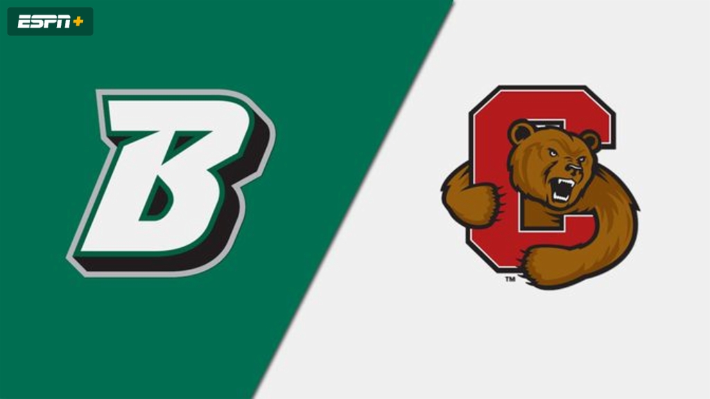 Binghamton vs. Cornell (Wrestling)
