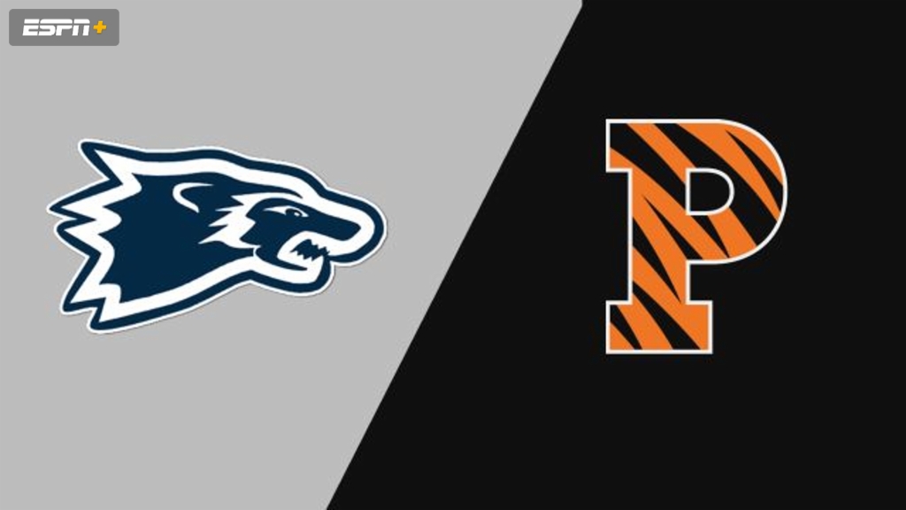 Wesley vs. Princeton (M Basketball)