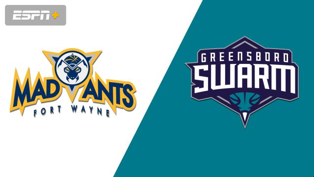 Fort Wayne Mad Ants vs. Greensboro Swarm