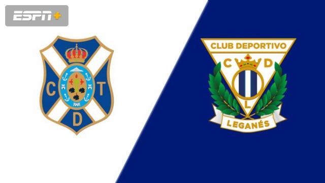 Tenerife vs. Leganes (Spanish Segunda Division)