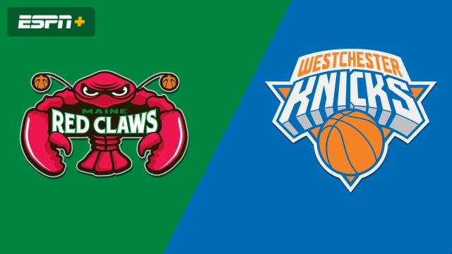 Maine Red Claws vs. Westchester Knicks