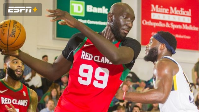 Maine Red Claws vs. Raptors 905