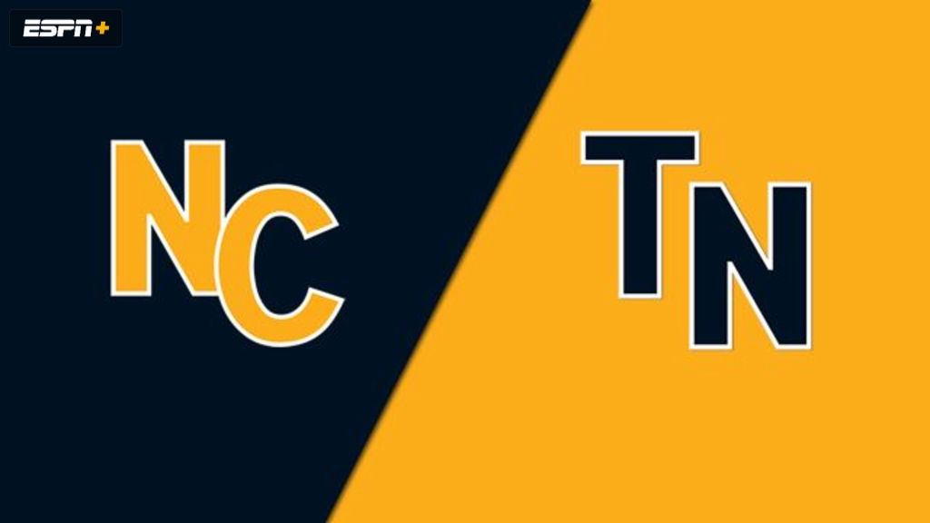 Salisbury NC vs. Gray, TN (Championship) (Little League Softball World Series)