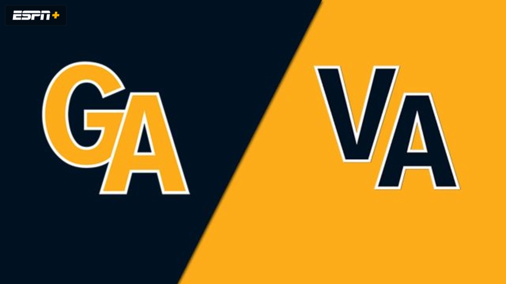 Peachtree City, GA vs. South Riding, VA (Southeast Regional) (Little League World Series)