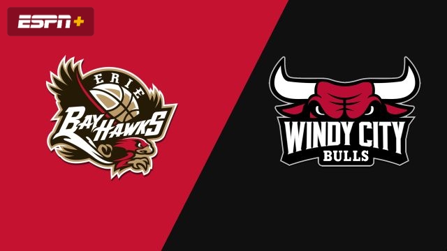 Erie BayHawks vs. Windy City Bulls