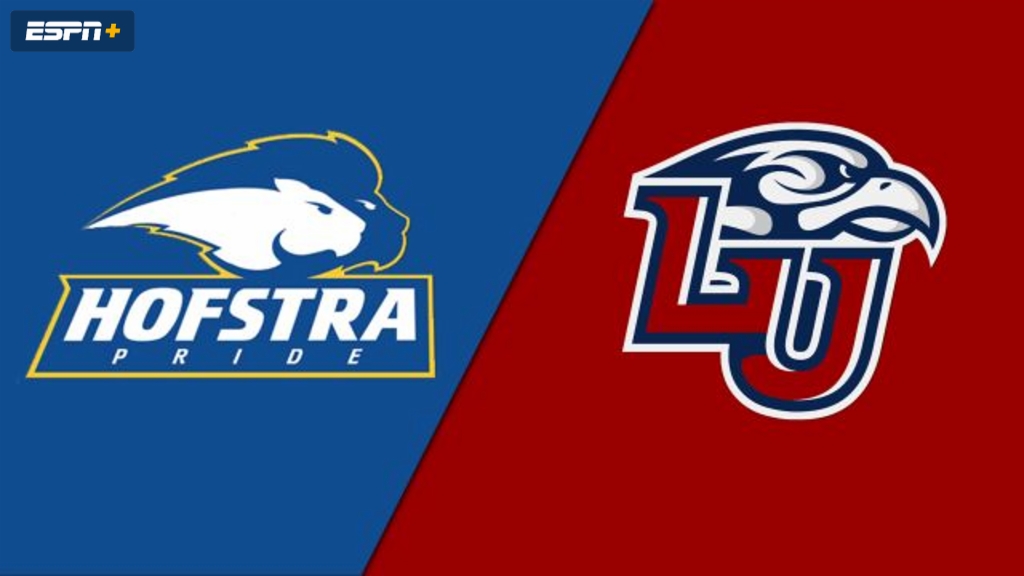 Hofstra vs. Liberty (Baseball)
