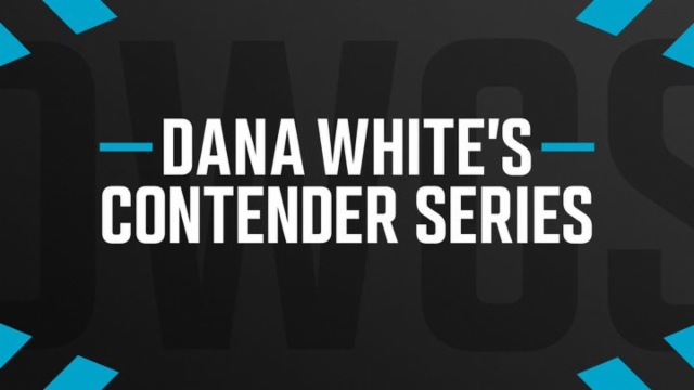 Dana white best sale contender series stream