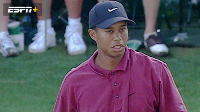 2002 Tiger Woods