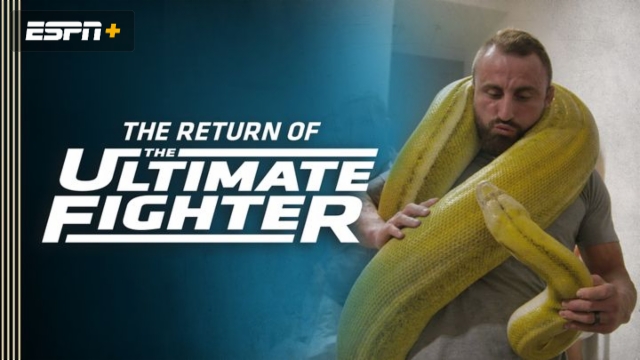 The Return of The Ultimate Fighter®: Team Volkanovski vs. Team Ortega  Debuts Tuesday, June 1, Exclusively on ESPN+ - ESPN Press Room U.S.